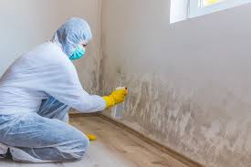 Best Mold Prevention Services  in Ashland, OR