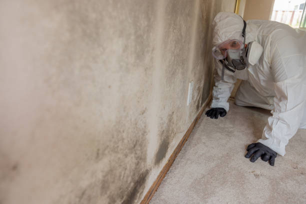 Best Forensic Mold Investigation  in Ashland, OR