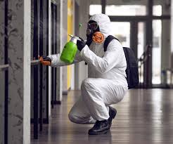 Best Comprehensive Air Testing for Mold Contaminants  in Ashland, OR